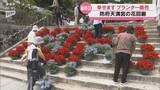 「ＧＷ恒例の防府天満宮・花回廊～最終日にプランター800鉢の販売行われる」の画像1