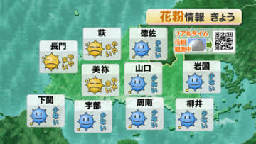 【山口天気 朝刊2/17】スギ花粉の本格飛散開始 飛び始めの今の時期からしっかりと対策を 洗濯物の外干しにも要注意