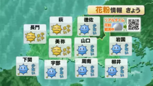 【山口天気 朝刊2/17】スギ花粉の本格飛散開始 飛び始めの今の時期からしっかりと対策を 洗濯物の外干しにも要注意