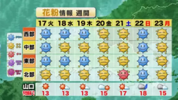 【山口天気 夕刊2/16】山口県もスギ花粉飛散開始…飛び始めでも油断禁物！暖かくなる今週末に向けて飛散量急増の心配も
