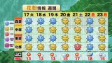 【山口天気 夕刊2/16】山口県もスギ花粉飛散開始…飛び始めでも油断禁物！暖かくなる今週末に向けて飛散量急増の心配も