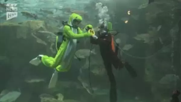 巨大水槽で“ウマ”く引き継ぎ！海響館で干支交代式、元日からは特別イベントも