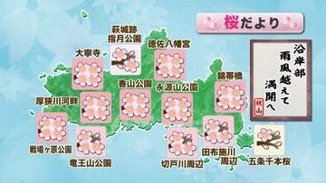 【山口天気 夕刊4/2】「沿岸部 雨風越えて 満開へ」  県内のサクラシーズン5日(日)までしっかり楽しみましょう