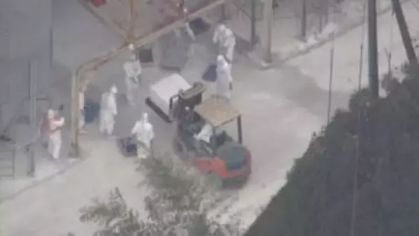 岡山県津山市の高病原性鳥インフルエンザ　ニワトリ殺処分の進捗約50％に