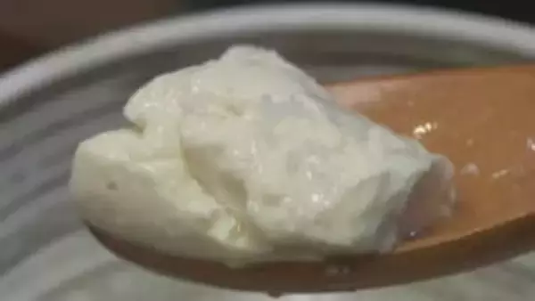 塩ともろみみそで食べるクリーミーな「できたて豆腐」　こだわりの美しい庭と一緒に　香川・観音寺市