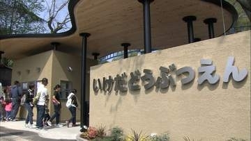 ヒツジのまゆりちゃんの毛で羊毛ストラップを作ろう　池田動物園で18日から　岡山