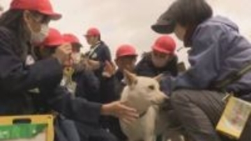 小学生が保護犬と触れ合い　命の大切さや飼育する責任を学ぶ　岡山市が体験の授業