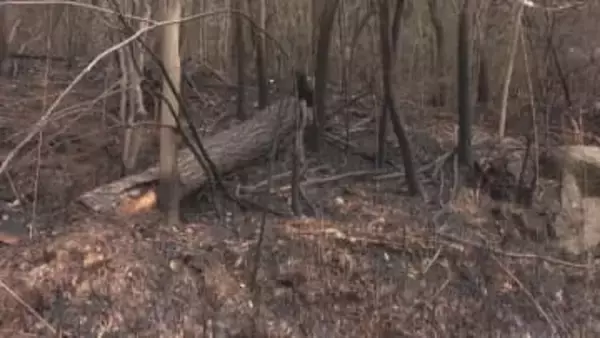 直近3日間の雨量ゼロ　高松市消防局が林野火災警報を発令