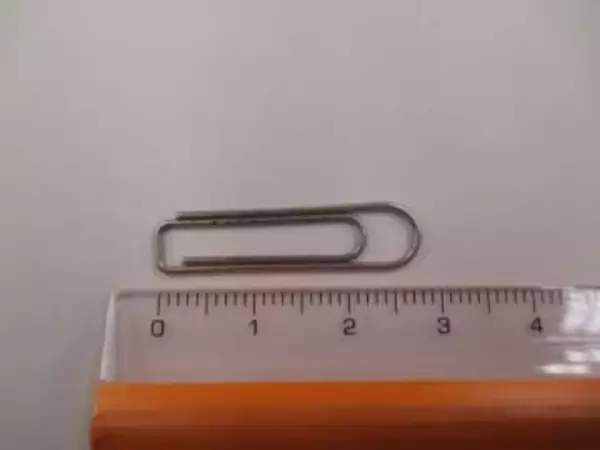 小学校の給食にゼムクリップが混入　健康被害なし　香川・さぬき市