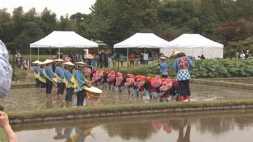 岡山後楽園で「お田植え祭」　岡山市
