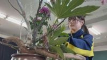 迫力ある作品で目指すは花いけバトル全国出場！飯山高校フラワーアレンジメント部　香川【青春のキセキ】