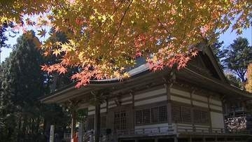雲辺寺　あじさいデザインの「香る御朱印」を授与