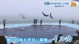 「瀬戸内海を背景にイルカが躍動！約400種類を展示する「四国水族館」　香川・宇多津町」の画像1