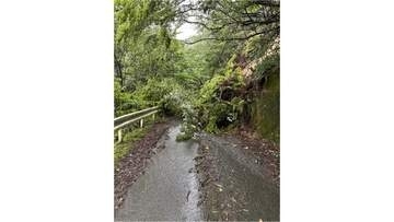 大雨の影響か　三豊市の県道が土砂崩れで全面通行止め　香川　午後2時現在