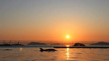 「たそがれどきを満喫しませんか？」四国水族館が日の入り10分後まで営業時間を延長 9月末まで 香川