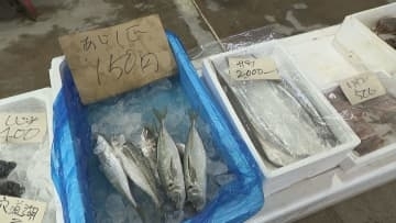 2026年最初の市場開放　高松市中央卸売市場　香川