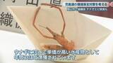 「｢テナガエビ」の試食も　児島湖の環境保全を考える協議会　水質改善の取り組みを説明　岡山」の画像1