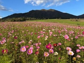「発酵のまち」真庭市で発酵グルメスタンプラリー開催　岡山