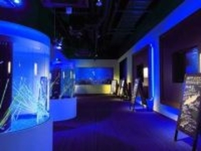 四国水族館　ゴールデンウィークに午後9時まで営業時間延長　特別プログラムも