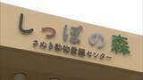 「引き取ったイヌやネコたちの日常の一コマを募集　「卒業犬猫フォトコンテスト」　香川」の画像1