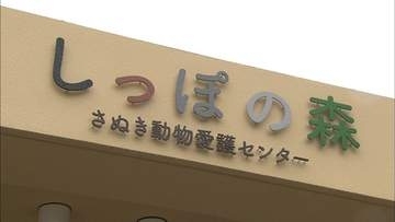 引き取ったイヌやネコたちの日常の一コマを募集　「卒業犬猫フォトコンテスト」　香川
