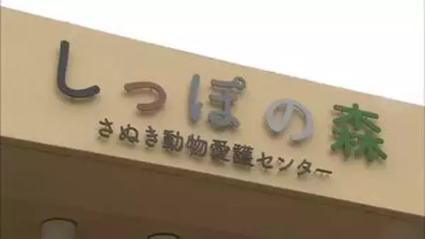 引き取ったイヌやネコたちの日常の一コマを募集　「卒業犬猫フォトコンテスト」　香川