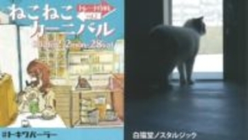 高松と徳島の猫の雑貨店　互いの手作り雑貨を交換する「ねこねこカーニバル」が2月2日から開催へ　高松市