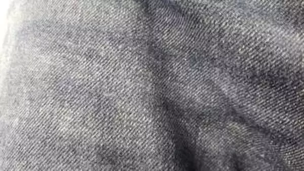 ジーンズソムリエ資格認定試験2026　概要を発表　ジーンズについての深い知識を問う