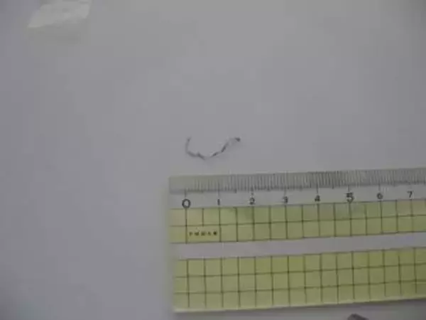 給食の「鶏の唐揚げ」に約2cmの糸状の金属片　児童に健康被害なし　香川・三豊市