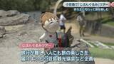 「持ち主に代わってぬいぐるみが旅を楽しむ　小豆島で「じぶんぐるみ」ツアー　香川」の画像1