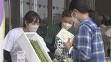 「香川県産アスパラガスの収穫祭　12日に開催　リユース食器を導入　高松市」の画像1