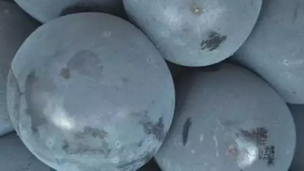 後継者を…ピオーネ栽培の講習会　開校式　岡山