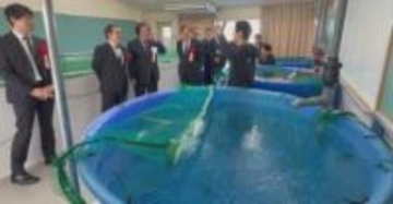水を循環させキャビアとイチゴを同時に生産　陸上養殖×植物栽培施設がオープン　香川・さぬき市