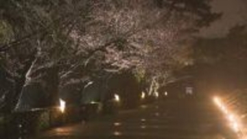 2026年 栗林公園春のライトアップ期間に6万1129人来場　　高松市