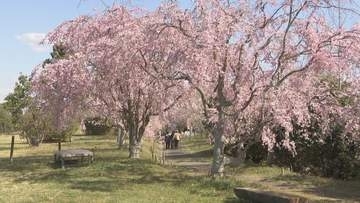 「たけべの森公園」の魅力アップへ　岡山市がニーズ調査を実施