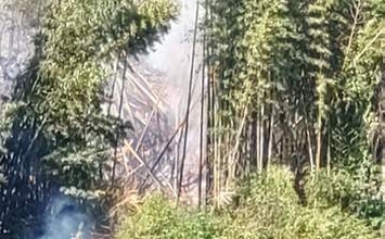 ごみを燃やした火が竹やぶに燃え移る　現場近くにいた男性を熱中症疑いで搬送　香川・まんのう町