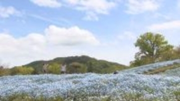 国営讃岐まんのう公園　2025年度の年間入園者数は54万人超　過去2番目に多い　香川