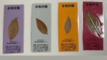 枯れても〝春まで落ちないヤマコウバシの葉でお守り　受験生を応援　岡山県の和気神社