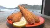 「究極のエビフライ！日生湾が一望できるカフェの数量限定ランチ　自家製バスクチーズケーキも　岡山【ほっとマルシェ】」の画像1