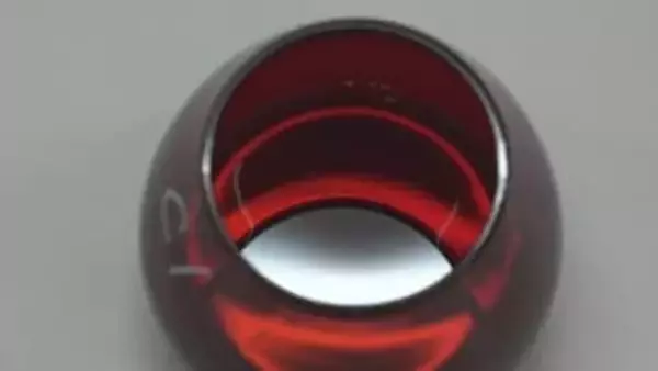 オリーブオイルの官能評価　8年連続で国際機関が認定　香川