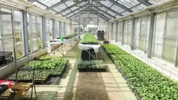 農業を始めたい人や始めて間もない人向けの研修会　参加者募集　岡山県