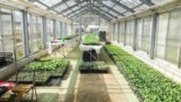 農業を始めたい人や始めて間もない人向けの研修会　参加者募集　岡山県