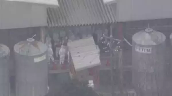 津山市の鳥インフル　殺処分したニワトリの焼却を開始　岡山県