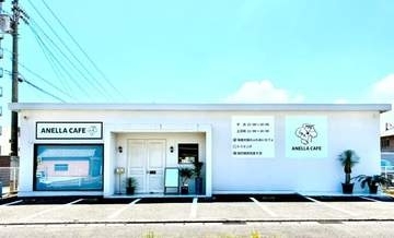 保護犬・保護猫カフェ「ANELLA CAFE　高松中央店」オープン　県内2店舗目