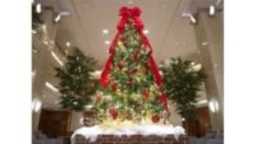 ホテルグランヴィア岡山に豪華クリスマスツリー登場