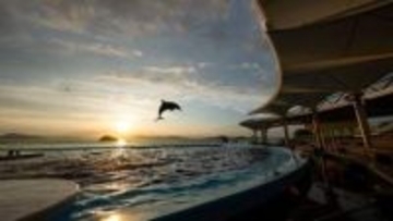 夜の水族館を会場に大規模な恋活イベント　5月23日開催　香川・宇多津町