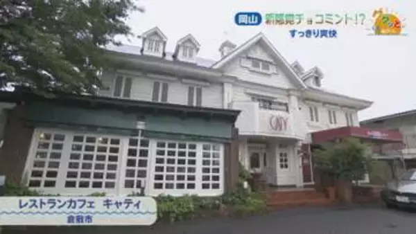夏に食べたい！スーッと爽快なチョコミントスイーツ　パフェやぜんざいなど10種類　岡山・倉敷市