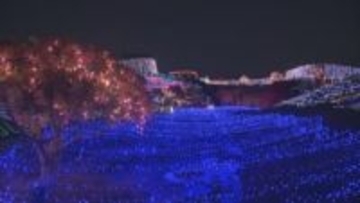 イルミネーションイベントに過去最多の約20.8万人　香川・国営讃岐まんのう公園
