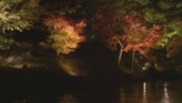 栗林公園で21日から秋のライトアップ　期間中は夜も和船を運行　キッチンカーの出店も　高松市