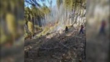 香川県まんのう町で竹やぶ約2500㎡が焼ける火災